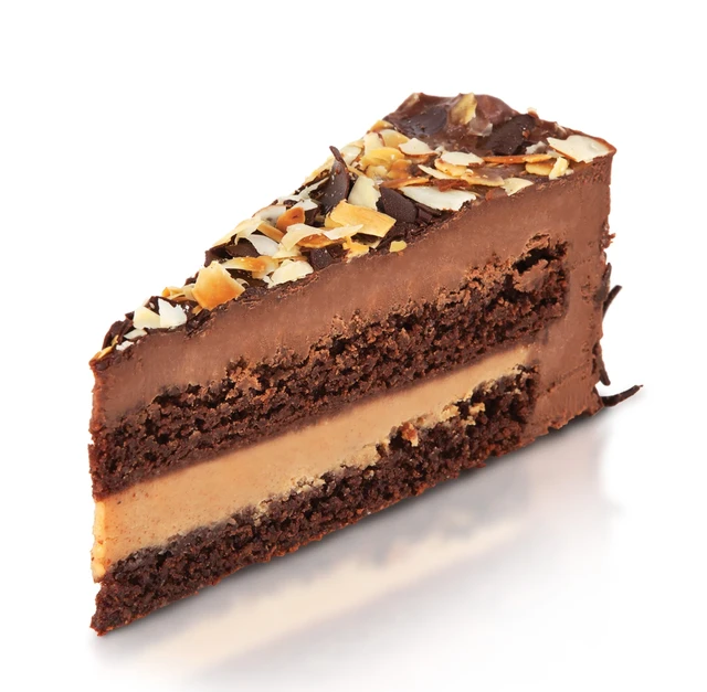 Chocolate Almond Torte Indian dessert at Hot Mug Cafe in West Edmonton